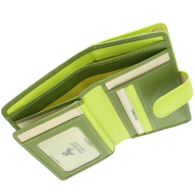 Жіночий гаманець з натуральної шкіри з RFID Visconti Rainbow Fiji RB51 Lime Multi