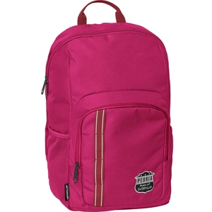 Рюкзак с отделением для ноутбука до 15" CAT Mochillas RPET Peoria 84065;522 Vivacious Purple/Maroon