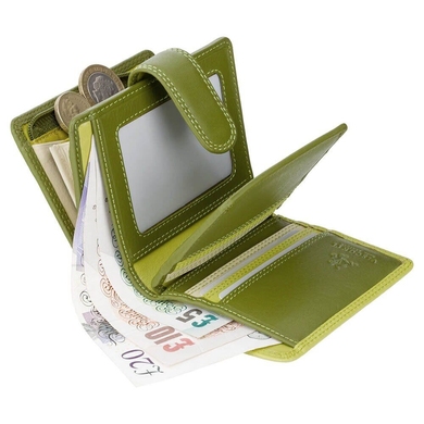Жіночий гаманець з натуральної шкіри з RFID Visconti Rainbow Bali RB40 Lime Multi