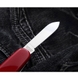 Складаний ніж у блістері Victorinox Recruit 0.2503.B1 (Червоний)