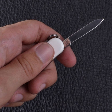 Складной нож-брелок миниатюрный Victorinox Classic SD UKRAINE 0.6223.7R1 (Белый)