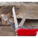 Складной нож Victorinox Evolution S54  2.5393.SE (Красный)