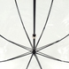 Зонт-трость женский Fulton Birdcage-2 Luxe L866 Photo Rose (Розы)
