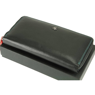 Жіночий гаманець з натуральної шкіри Visconti Spectrum Iris SP33 Black Multi