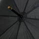Зонт-трость мужской Fulton Governor-1 G801 Black (Черный)