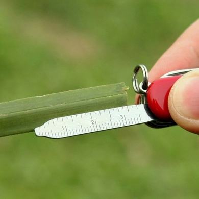 Складной нож-брелок миниатюрный Victorinox Mini Champ 0.6385 (Красный)